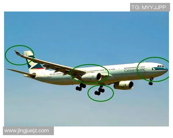 23与24的对比图片分析揭示了两者之间的细微差异与独特魅力