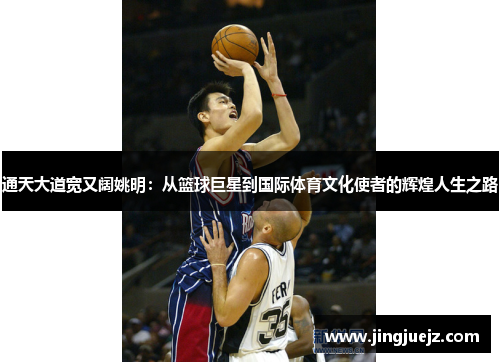 通天大道宽又阔姚明：从篮球巨星到国际体育文化使者的辉煌人生之路